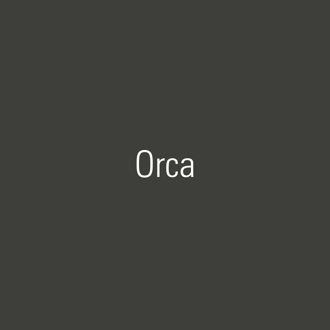 Orca